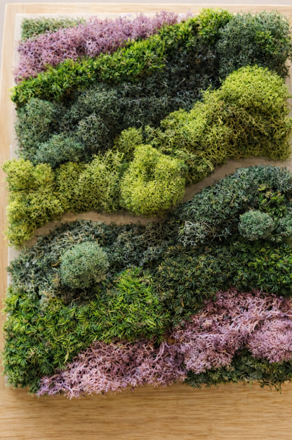 Moss Art Class