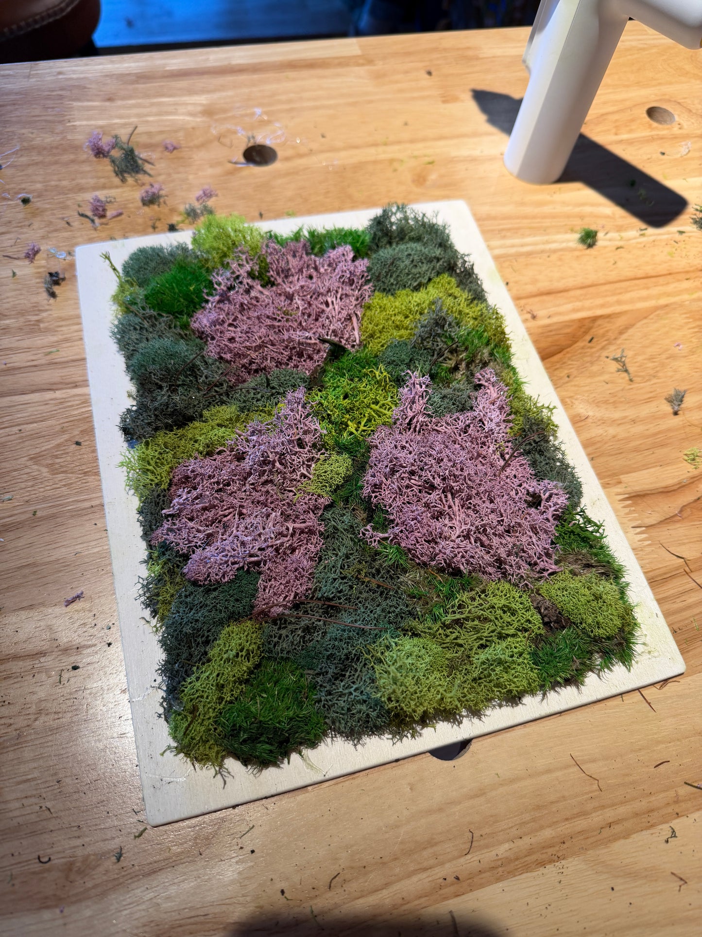 Moss Art Class