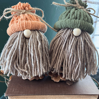 Fall Pinecone Gnome Workshop
