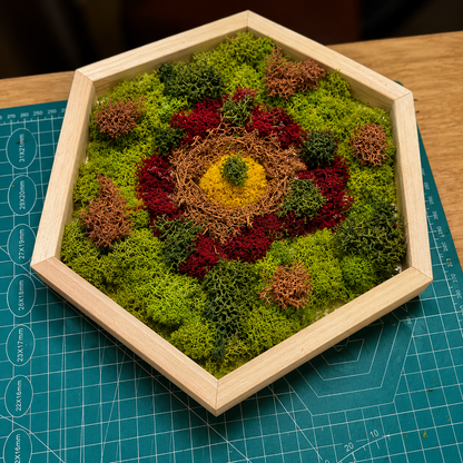 Moss Art Class