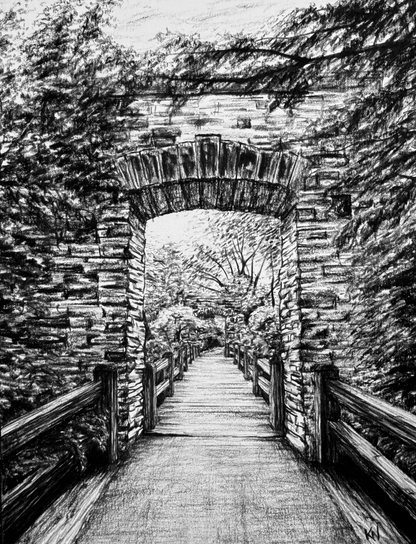 Introduction to Charcoal Drawing